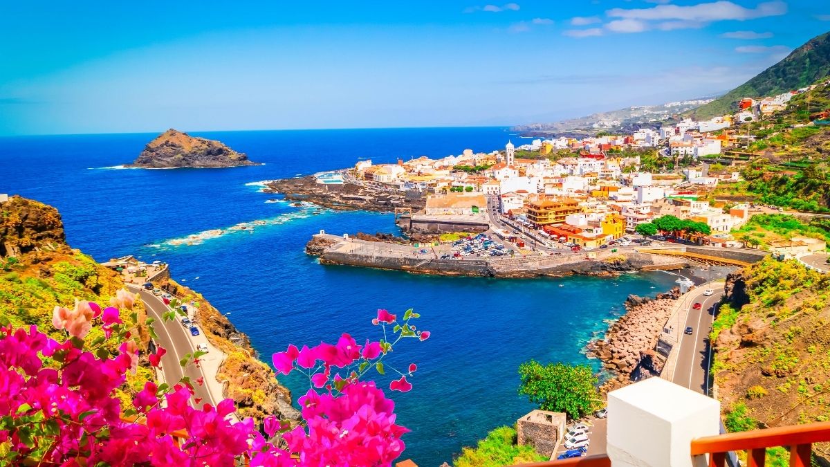 Professional Immigration Consultation